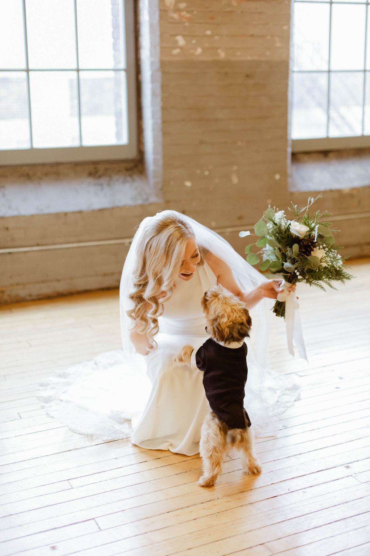 Bride crouching down to greet the couple's small dog dressed in a tuxedo.