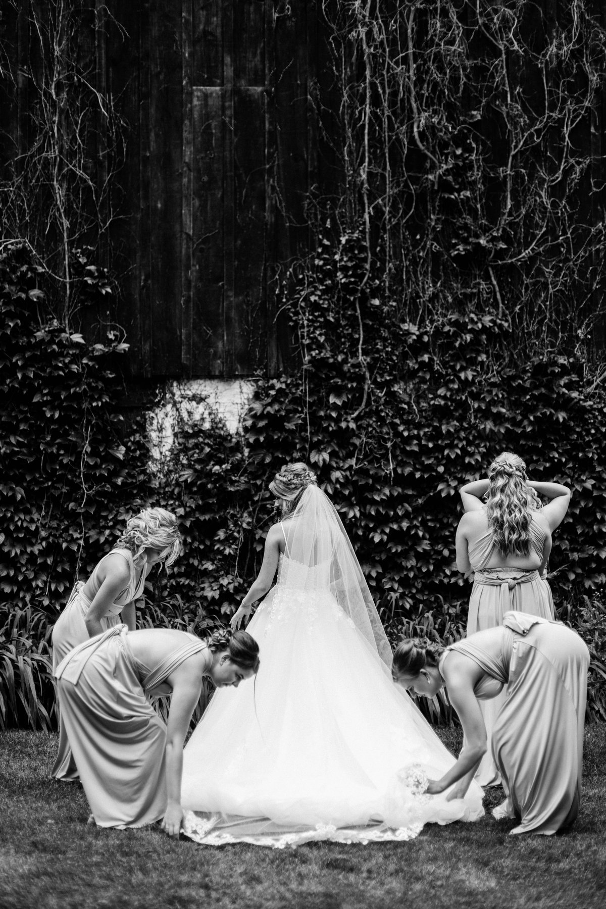 Black and white photo of bridesmaids arranging the bride's dress train in front of an ivy-covered wall.